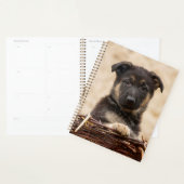 Duitse schapenhouderij in mandje planner (Display)