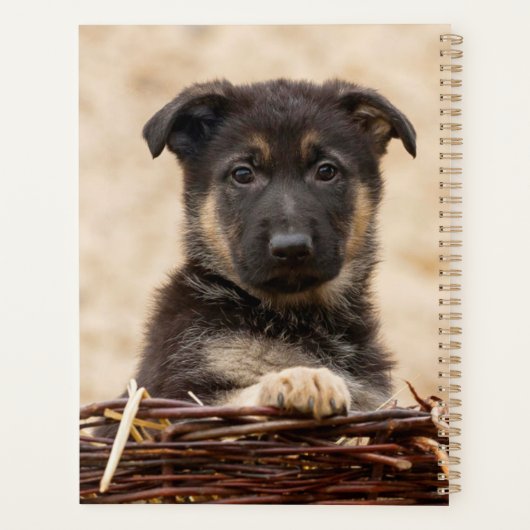 Duitse schapenhouderij in mandje planner (Achterkant)