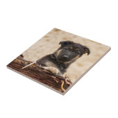 Duitse schapenhouderij in mandje tegeltje (Zijkant)