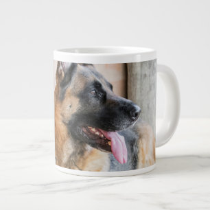 Duitse schapenhouderij met waterbekken grote koffiekop