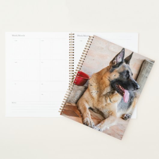 Duitse schapenhouderij met waterbekken planner (Display)