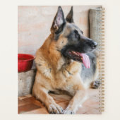 Duitse schapenhouderij met waterbekken planner (Achterkant)