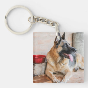 Duitse schapenhouderij met waterbekken sleutelhanger
