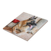 Duitse schapenhouderij met waterbekken tegeltje (Zijkant)