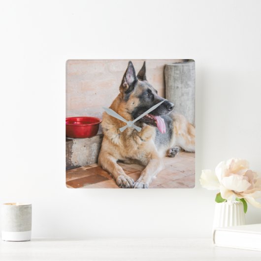 Duitse schapenhouderij met waterbekken vierkante klok (Huis)