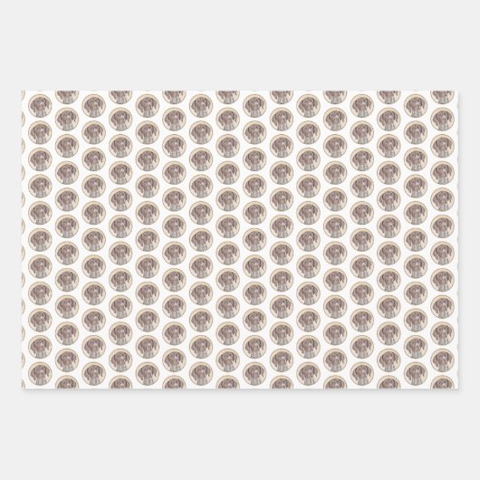 Duitse schilderkunst met horthaired pointer inpakpapier vel (Voorkant 2)