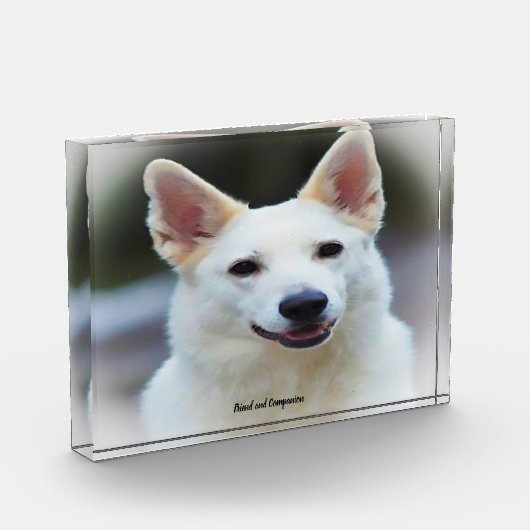 Duitse Shepard Dog. Fotoblokken (Links)