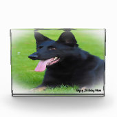 Duitse Shepard Dog. Fotoblokken (Voorkant)