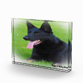 Duitse Shepard Dog. Fotoblokken (Rechts)