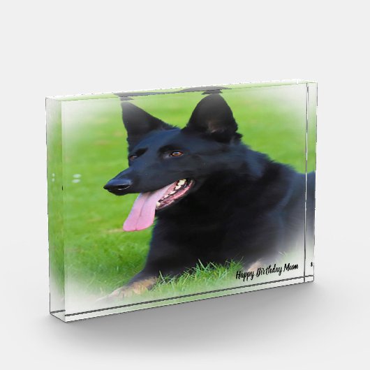 Duitse Shepard Dog. Fotoblokken (Links)