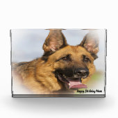 Duitse Shepard Dog. Fotoblokken (Voorkant)