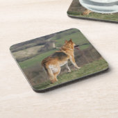 Duitse Shephard die naar beneden kijkt Bier Onderzetter (Linkerzijde)