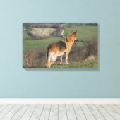 Duitse Shephard die naar beneden kijkt Canvas Afdruk (Insitu (Houten vloer))