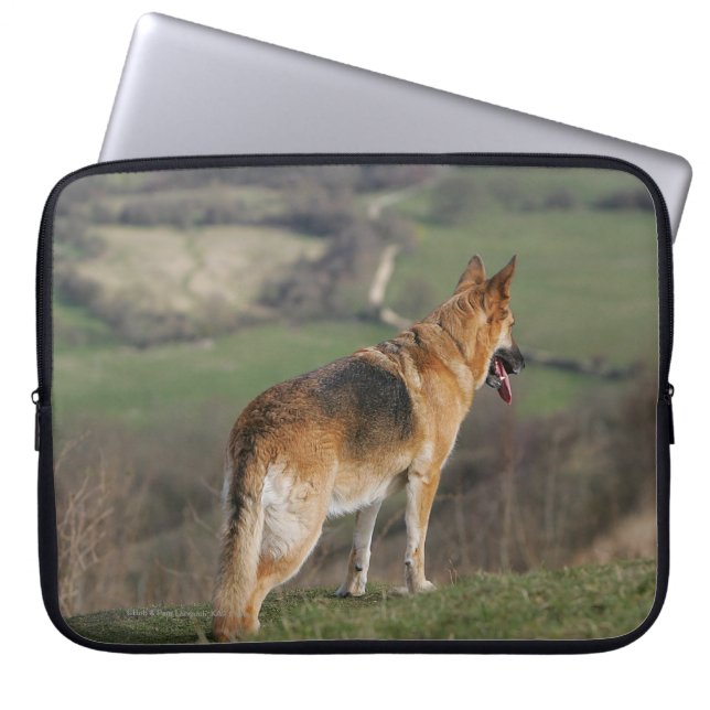 Duitse Shephard die naar beneden kijkt Laptop Sleeve (Voorkant)