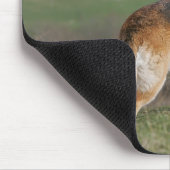 Duitse Shephard die naar beneden kijkt Muismat (Hoek)