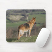 Duitse Shephard die naar beneden kijkt Muismat (Met muis)