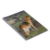 Duitse Shephard die naar beneden kijkt Notitieboek (Rechterzijde)