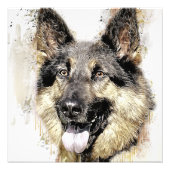 Duitse Shepherd Dog foto Uitbreiding Foto Afdruk (Voorkant)