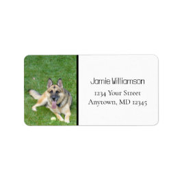 Duitse Shepherd Dog K9 Foto-Adresetiketten Etiket