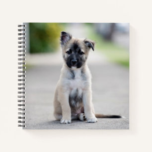 Duitse Shepherd Puppy op pad Notitieboek
