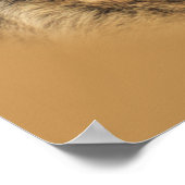 Duitse Shepherd Zeer handig afdrukken Poster (Hoek)