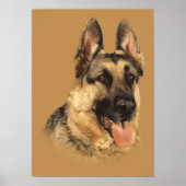 Duitse Shepherd Zeer handig afdrukken Poster (Voorkant)
