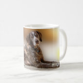 Duitse Short-Haire Pointer - Holly Mok (Voorkant rechts)