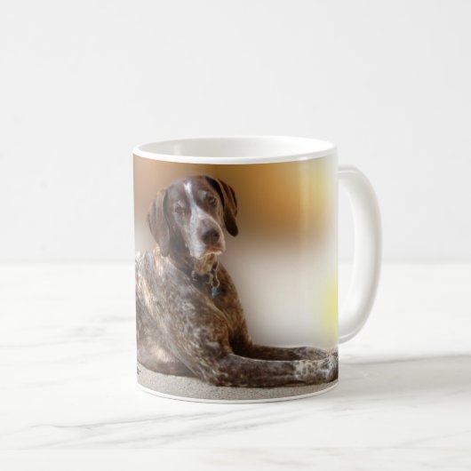 Duitse Short-Haire Pointer - Holly Mok (Voorkant rechts)