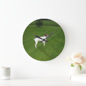 duitse shorthair pointer full.png grote klok (Huis)