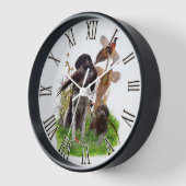 Duitse Shorthaired Pointer (Hoek)