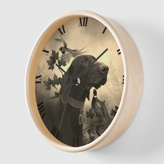 Duitse Shorthaired Pointer (Hoek)