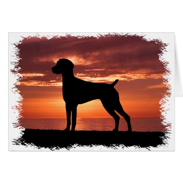 Duitse Shorthaired Pointer (Voorkant Horizontaal)