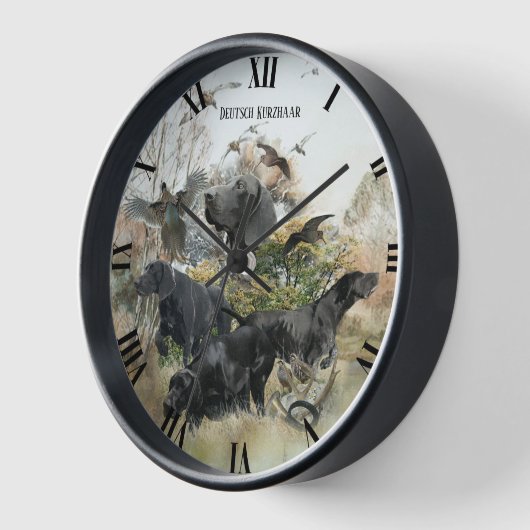 Duitse Shorthaired pointer (Hoek)