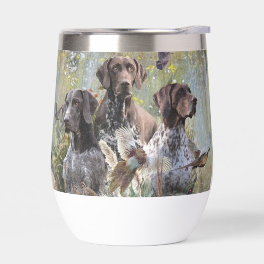 Duitse Shorthaired Pointer (Links)