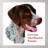 Duitse Shorthaired Pointer Art Print (Voorkant)