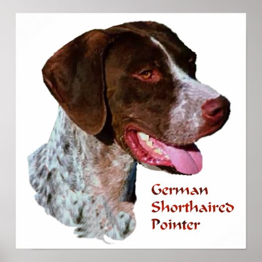 Duitse Shorthaired Pointer Art Print (Voorkant)