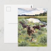 Duitse Shorthaired pointer Briefkaart (Voorkant / Achterkant)