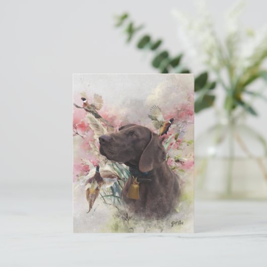 Duitse shorthaired pointer briefkaart (Staand voorkant)