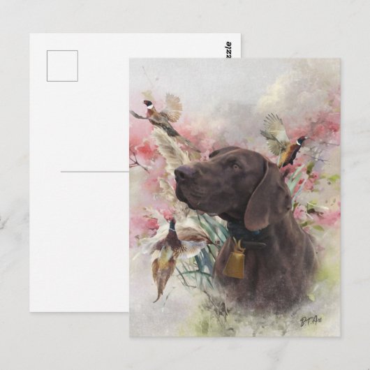 Duitse shorthaired pointer briefkaart (Voorkant / Achterkant)