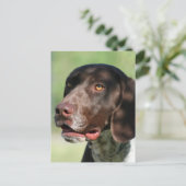 Duitse Shorthaired Pointer Briefkaart (Staand voorkant)