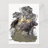 Duitse Shorthaired Pointer Briefkaart (Voorkant)
