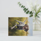 Duitse Shorthaired Pointer Briefkaart (Staand voorkant)