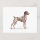 Duitse Shorthaired Pointer Briefkaart (Voorkant)