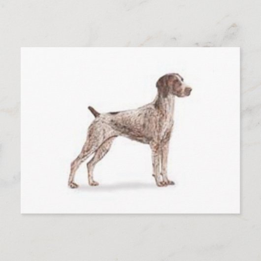 Duitse Shorthaired Pointer Briefkaart (Voorkant)