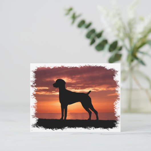 Duitse Shorthaired Pointer Briefkaart (Staand voorkant)