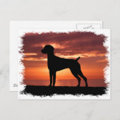 Duitse Shorthaired Pointer Briefkaart (Voorkant / Achterkant)