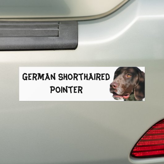 Duitse Shorthaired Pointer Bumpersticker (Op auto)