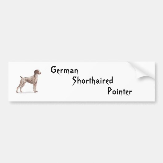 Duitse Shorthaired Pointer Bumpersticker (Voorkant)