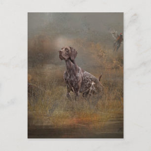 Duitse Shorthaired Pointer, Deutsch Kurzhaar Tapes Briefkaart