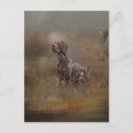 Duitse Shorthaired Pointer, Deutsch Kurzhaar Tapes Briefkaart (Voorkant)